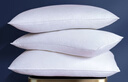 富安娜枕头芯纯棉软枕芯五星级酒店枕头一对装纤维枕中枕两个74*48cm 实拍图