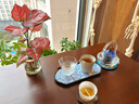 贞喜气 茶点盘中式点心盘陶瓷藤编果盘零食盘干果盘小吃盘水果盘小碟子 花蕊陶瓷果盘 实拍图