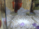 桌面鱼缸小型家用积木缸生态缸水族箱斗鱼缸带小夜灯氛围灯摆件 黑色斗鱼缸+一个灯 实拍图