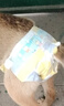 嬉皮狗狗狗生理裤尿垫纸尿裤母狗尿不湿尿片卫生巾姨妈裤 S码 12片装 实拍图