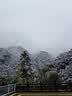 哥尔姆儿童冰爪防滑鞋套 户外雪地钉儿童登山攀岩装备便携冰爪11齿S码 实拍图