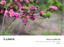 松下（Panasonic）Lumix S5M2 全画幅相机 L卡口 微单相机 无反数码相机 【2060原封套机】+【85mmF1.8白盒】套装 实拍图