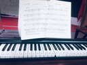 特伦斯电子琴88键折叠琴成人儿童初学电钢键盘教学乐器V10便携钢琴 V10SE典雅黑（无延音踏板）+原装琴包 实拍图