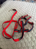 欢宠网狗绳狗狗牵引绳狗胸背带遛狗牵狗绳狗链子背带宠物大型小型犬小狗 实拍图