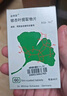 【原研进口】金纳多 银杏叶提取物片 40mg*60片/盒 实拍图