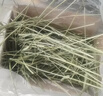 喜帅 精品烘干提摩西草500g 提草荷兰猪龙猫兔子磨牙牧草兔粮 实拍图