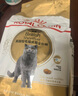 皇家猫粮 英短成猫粮 BS34 通用粮 12月以上 2KG 实拍图