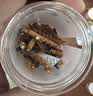雷允上冬虫夏草 断虫草 高品质断草自用干货高端滋补品送长辈礼品 【甄选大断草】尝鲜自用 10g*1瓶 实拍图