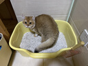 疯狂的主人特大号半封闭式猫砂盆防外溅猫厕所特大防臭猫沙盆巨大幼猫猫屎盆 实拍图