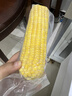 三胖蛋7A甜糯玉米新鲜真空包装加热即食高品质黄玉米棒粗粮代餐228g 7A甜糯玉米1.82kg【量贩装】 实拍图