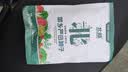 北蔬 四季豆种子苗不搭架豆角家庭阳台秋冬种蔬菜种籽 四季豆种子200g 实拍图