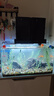 YEE超白鱼缸桌面客厅生态斗金鱼乌龟缸造景小型水草养鱼玻璃裸缸50cm 实拍图