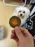 卫仕（NOURSE）犬爆爆片狗狗肉条肉干鲜果蔬营养零食 口气清新毛发滋养舒缓泪痕 鸭肉南瓜苹果片【买1送1 到手共2罐】 实拍图