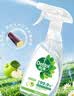 滴露（Dettol）家居除菌喷雾 非84消毒液 冰箱清洁剂厨房清洁剂除臭剂 李斯特菌 【冰箱清洁好搭子】家居喷雾500ml+除霉喷雾500ml 实拍图