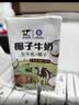 太好喝！天太栀子牛奶250ml 早餐奶儿童生牛乳奶茶 新鲜礼盒送礼 栀子牛奶24盒整箱 实拍图