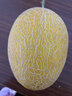 京鲜生 天山一号黄金哈密瓜 2粒 单果2.4斤起  生鲜水果礼盒 实拍图
