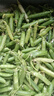 中鲜生 云南新鲜豌豆 甜豌豆新鲜蔬菜现摘豆角 净重3斤装【尝鲜装】鲜嫩饱满 实拍图