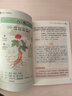 国医绝学百日通系列——手足按摩治百病等 阅读狂欢节 KBCT 【超值】图解本草纲目 实拍图