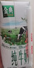 伊利金典纯牛奶整箱 200ml*24盒 3.6g乳蛋白 原生高钙 礼盒装 实拍图