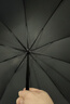 天堂 全自动晴雨伞三折 10骨加固一键开收易甩干简约 黑色 实拍图