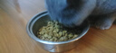 皇家猫粮 英短成猫粮 BS34 通用粮 12月以上 10KG 实拍图