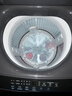 海尔（Haier）全自动波轮洗衣机 12KG大容量 除菌螨 家用宿舍 家电国家补贴以旧换新京东自营 XQB120-Z10D0 实拍图