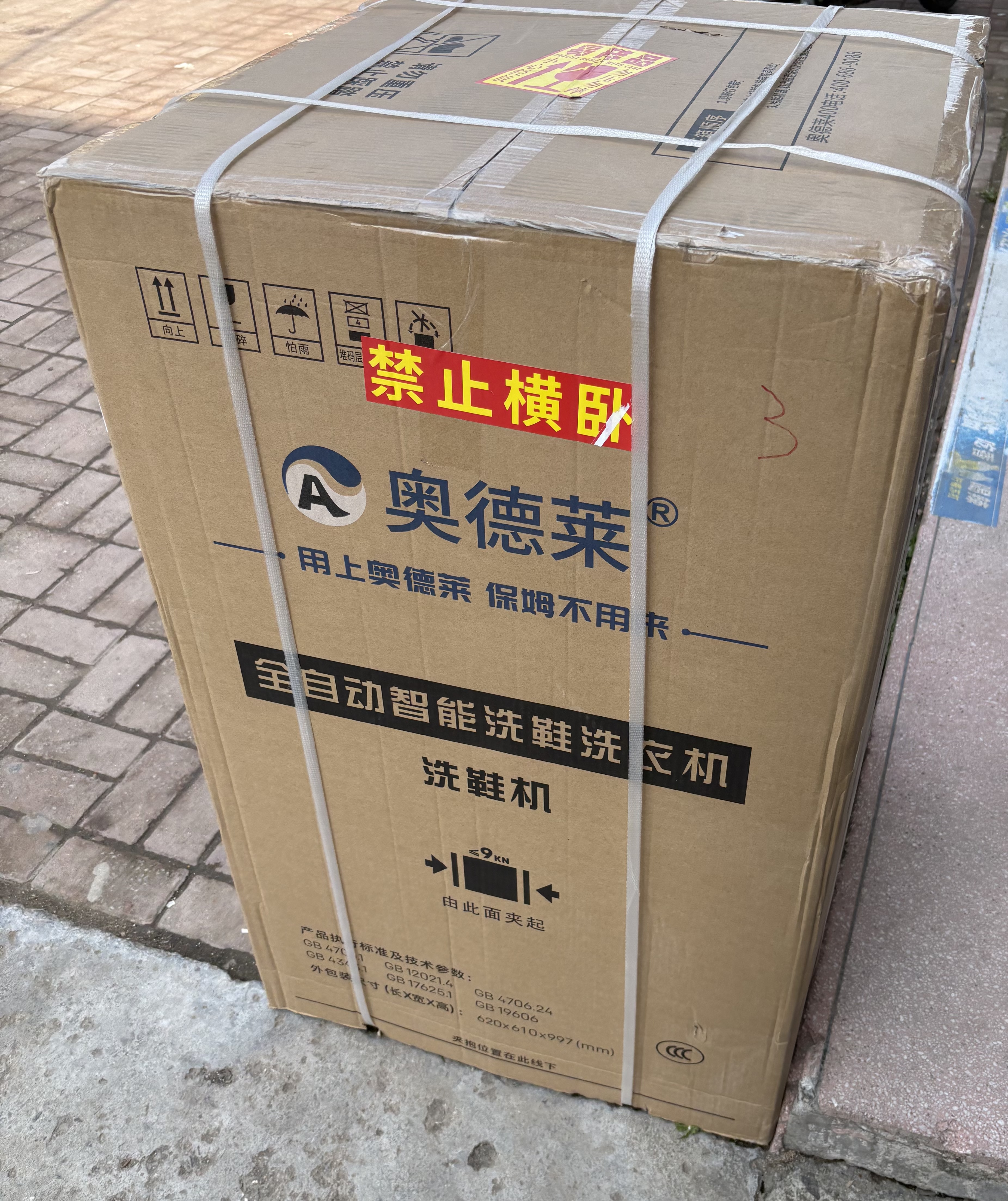 奥德莱（AOD）洗鞋机全自动家用洗脱一体刷鞋机一体机小型带风干脱水甩干烘干懒人洗鞋神器免拆鞋带刷鞋机全自动 【A10系顶配全壁刷】烘干-48码内5人 实拍图