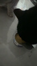 宝迪路猫罐头零食罐成幼猫鸡肉猫咪营养健康鱼油鸡丝罐头湿粮补水汤包 鱼油罐头（鸡肉南瓜味）85g*12罐 实拍图