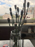 北欧轻奢玻璃花瓶透明客厅高级感插花水养鲜花装饰精致花器摆件 【烟灰组合】20高+27高璀璨 实拍图
