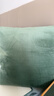京东京造棉花糖抱枕 超柔棉棉绒沙发床头客厅办公室腰靠枕垫苔藓绿45x45cm 实拍图