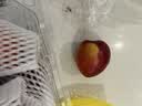 京鲜生 国产油桃 鲜桃子 净重1斤装 单果60g+ 生鲜水果 实拍图