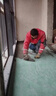 万通丙纶自粘卷材湿铺施工高效超溶缩型建筑速溶胶粉建500g（赠品） 实拍图