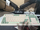 狼蛛（AULA）S99无线蓝牙有线三模键盘机械手感 游戏电竞专用 99键 RGB背光拼色静音键盘鼠标套装mac电脑键盘 S99原野绿【三模/RGB】 实拍图