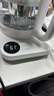米家小米养生壶N1烧水壶恒温电热水壶煮茶壶泡茶器一体304不锈钢 小白壶家用办公室附茶漏1.5L 实拍图
