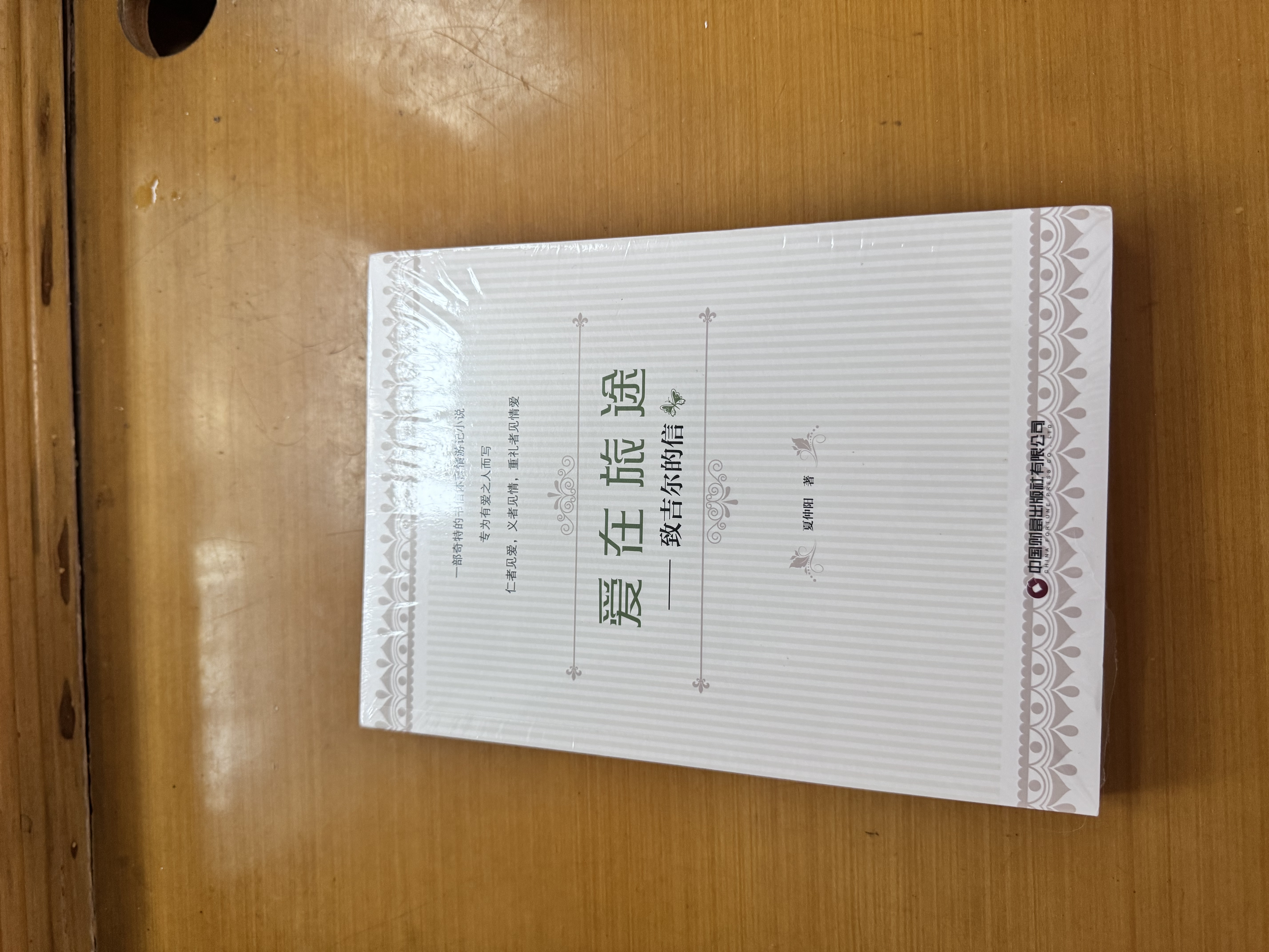 爱在旅途：致吉尔的信 夏仲阳 实拍图