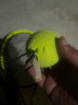 靓健皮筋训练网球 带绳练习网球 1个装 实拍图