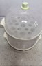 小熊（Bear）煮蛋器蒸蛋器单双层家用高温断电迷你早餐鸡蛋羹蒸鸡蛋器蒸蛋机炖蛋器便携式电蒸锅煮鸡蛋神器 双层 ZDQ-B14Q1【无蒸碗】 实拍图