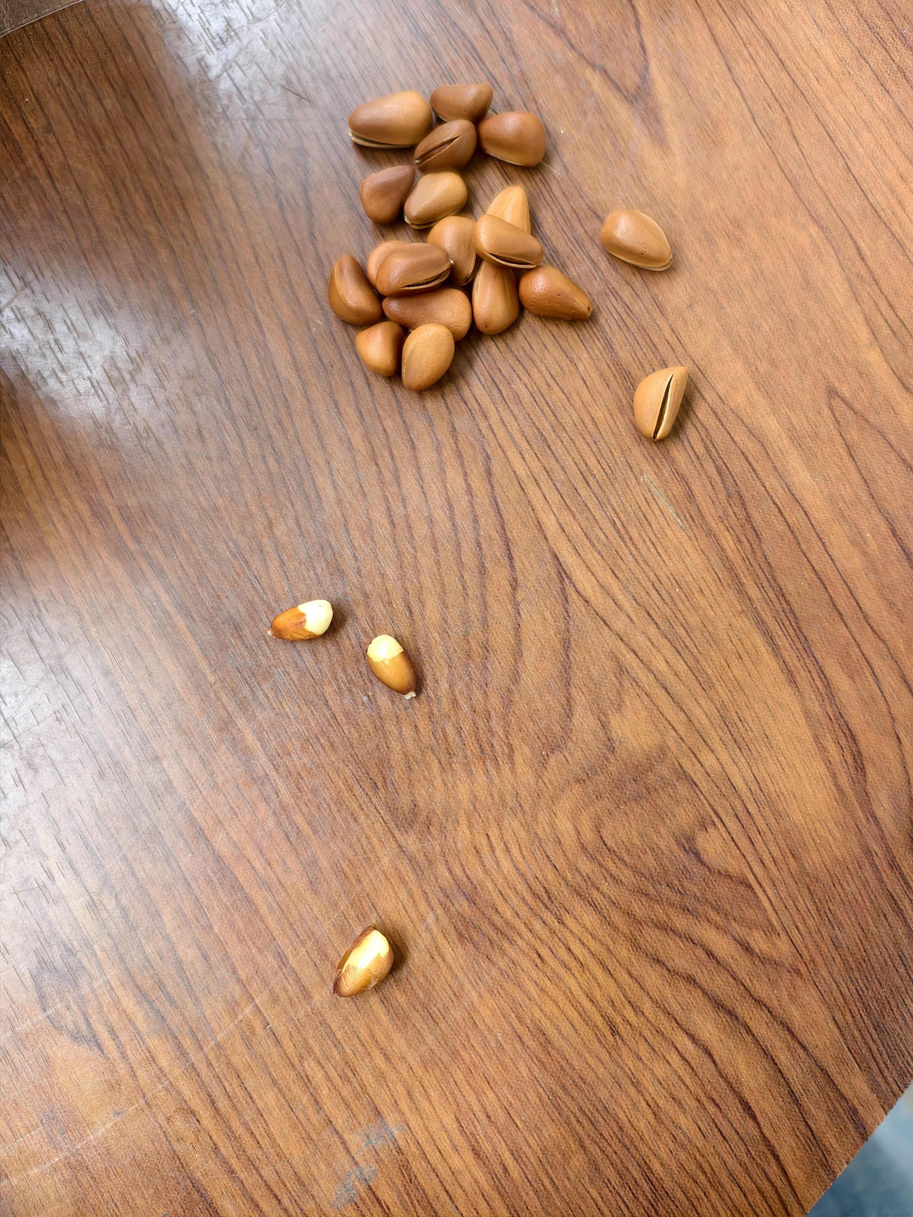 老街口东北开口松子大颗粒零食每日坚果炒货干果新货手剥红松仁特产年货 【特大颗粒】原味松子250g*2袋 实拍图
