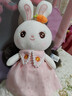 威尔通（WELTSTON）毛绒玩具布娃娃抱枕安抚玩偶儿童生日礼物礼品女生 小白兔子公仔 实拍图