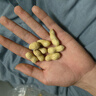 老街口奶香花生420g/袋带壳新货休闲零食坚果炒货特产小吃下酒菜年货 实拍图