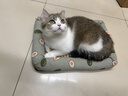 licheers猫狗窝凉席小型犬宠物猫咪睡垫夏季床垫泰迪中大型犬狗垫子 S号 实拍图