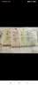 RENEESME一次性内裤纯棉内裆孕产妇月子短裤女旅游出差便携装免洗日抛短裤 加厚·女士彩色20条【纯棉内档】 2XL码【130-150斤】 实拍图