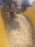 城市理享自然海风拒绝粘底近无尘豆腐木薯膨润土除臭因子四合一猫砂 实拍图