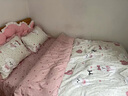 雅鹿 床裙款四件套非纯棉全棉简约韩式花边公主风家用1.8米床品套件3 可爱萌宠-米 床单款 1.8m四件套-被套200*230 实拍图