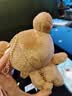 SAN-X日本正品 rilakkuma 轻松熊玩偶基础款肥宅熊哥熊妹ss挂件礼物 熊哥ss挂件(约13cm) 支持鉴定，假一罚十，现货当天发， 实拍图