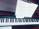 特伦斯电子琴88键折叠琴成人儿童初学电钢键盘教学乐器V10便携钢琴 V10SE典雅黑（无延音踏板）+原装琴包 实拍图