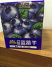 三只松鼠每日蓝莓干500g 蜜饯果干酸甜休闲零食下午茶孕妇儿童健康零食 实拍图