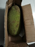 京鲜生海南菠萝蜜 23-27斤 净重23斤+   生鲜水果 源头直发 实拍图