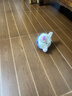 小小亲跳跳猪会唱歌学说话玩偶婴儿玩具0-6岁宝宝男女孩六一儿童节礼物 网红【跳跳小蓝猪】398首早教歌 USB充电+会唱歌+学说话+会跳跳 实拍图