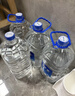 恒大冰泉长白山天然偏硅酸矿泉水 1L*12【热门商品】 实拍图